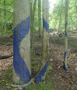 Blued Trees Symphony